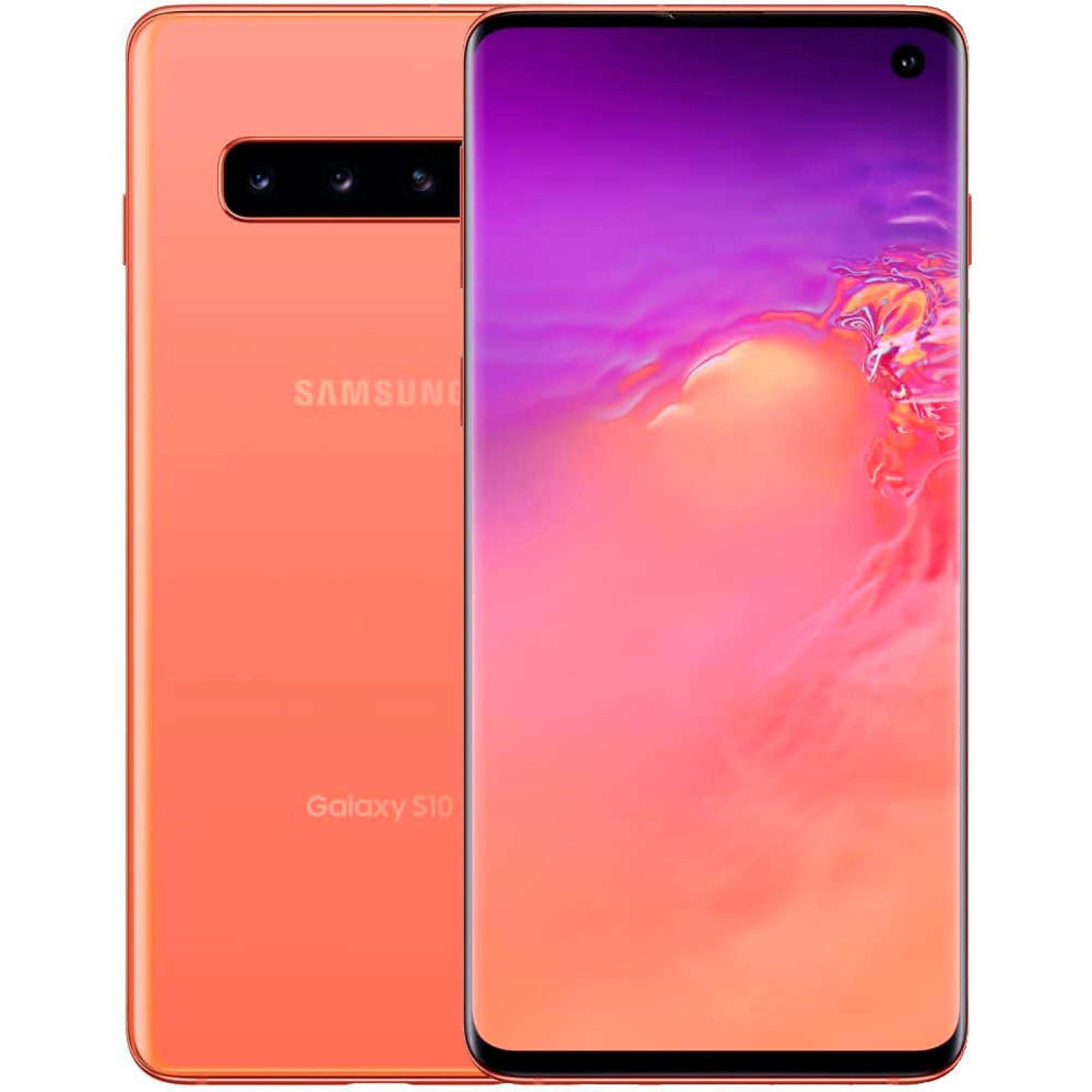 Купить Samsung Galaxy S10 SM-G973FD Flamingo Pink DUOS